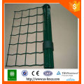 PVC Color Verde RAL6005 Valla de euro cerca de malla de alambre de Holanda